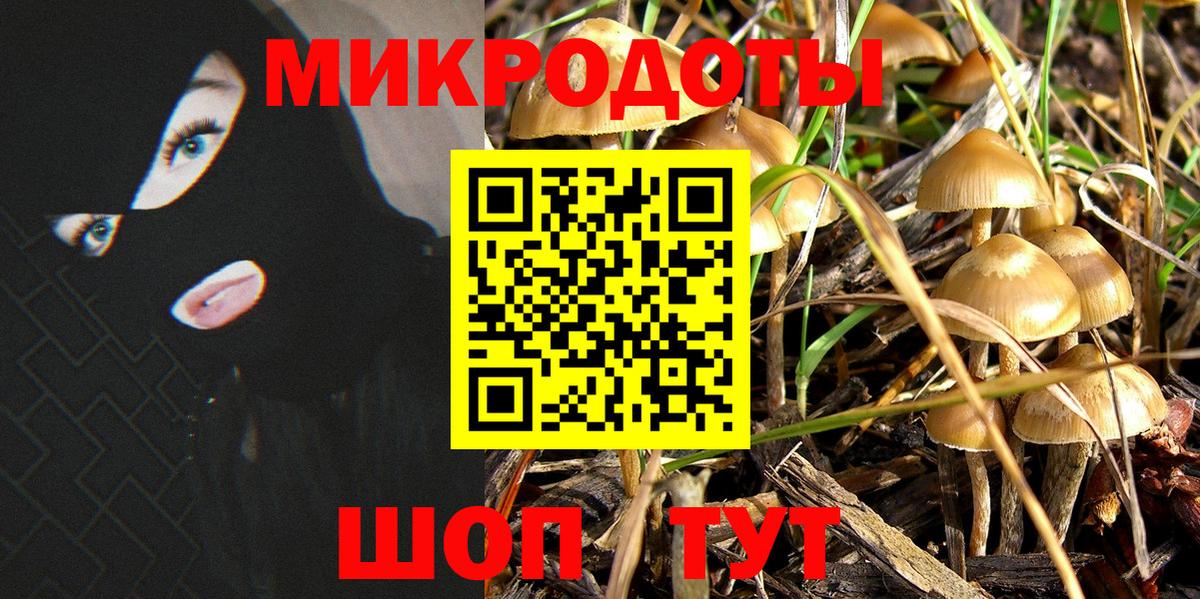 Псилоцибиновые грибы Cubensis  Вход с VPN  Дербент 
