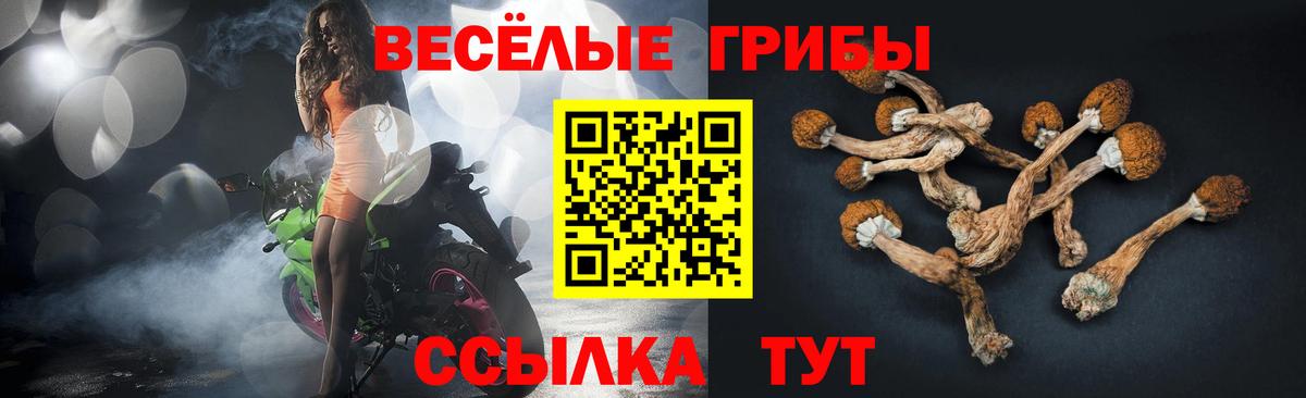 Галлюциногенные грибы прущие грибы Дербент